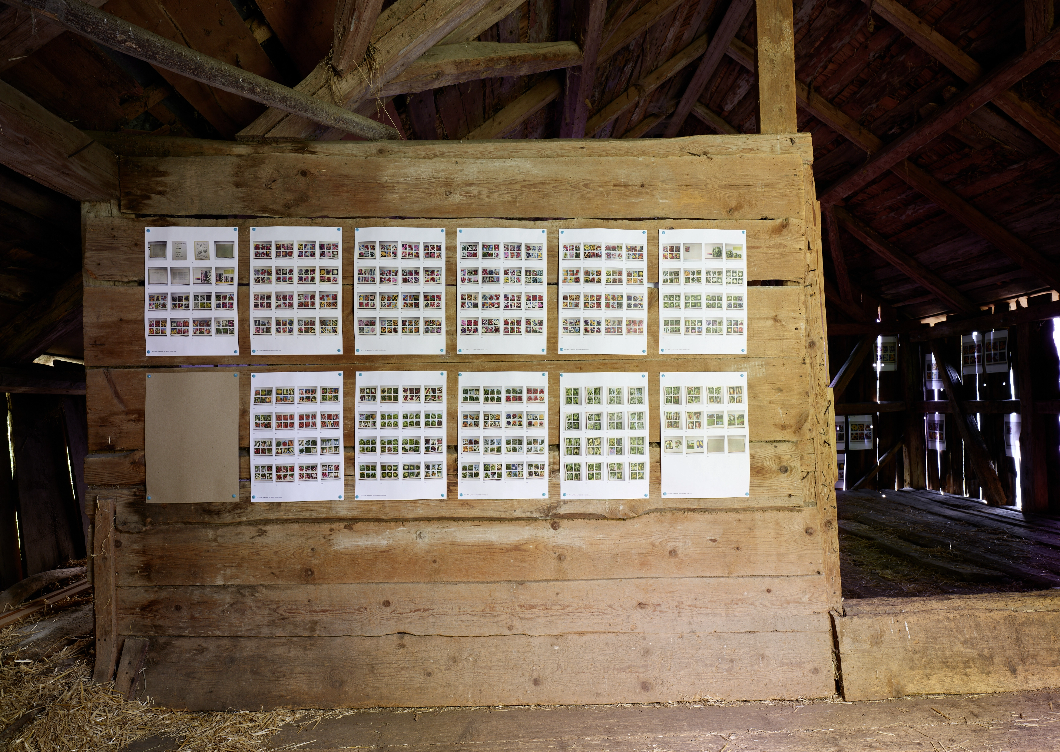 Polly Apfelbaum – Greenhouse, 2022 – Photo: David Aebi