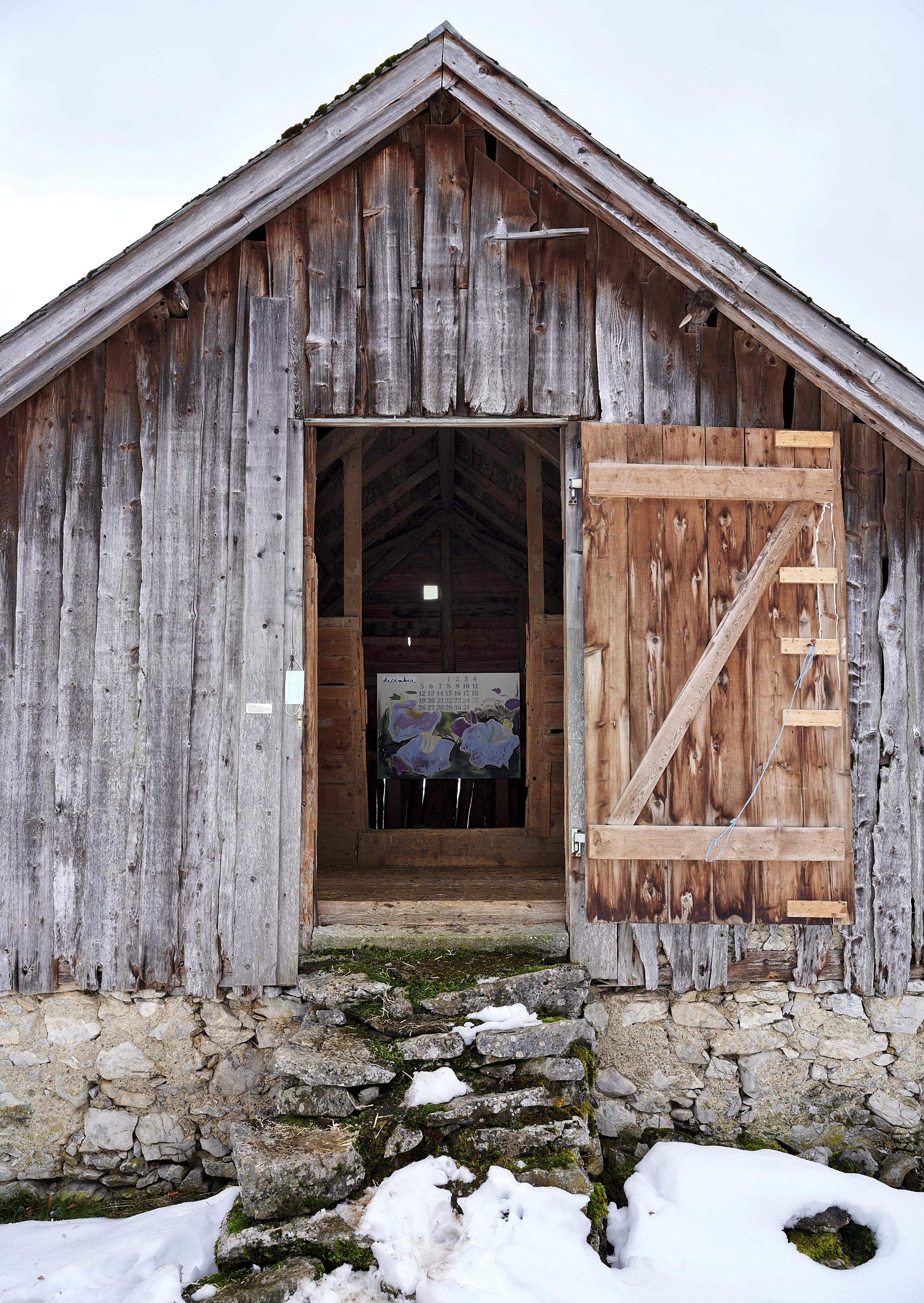 Elise Corpataux – DAISY BY CHOICE, 2021 – Foto: David Aebi