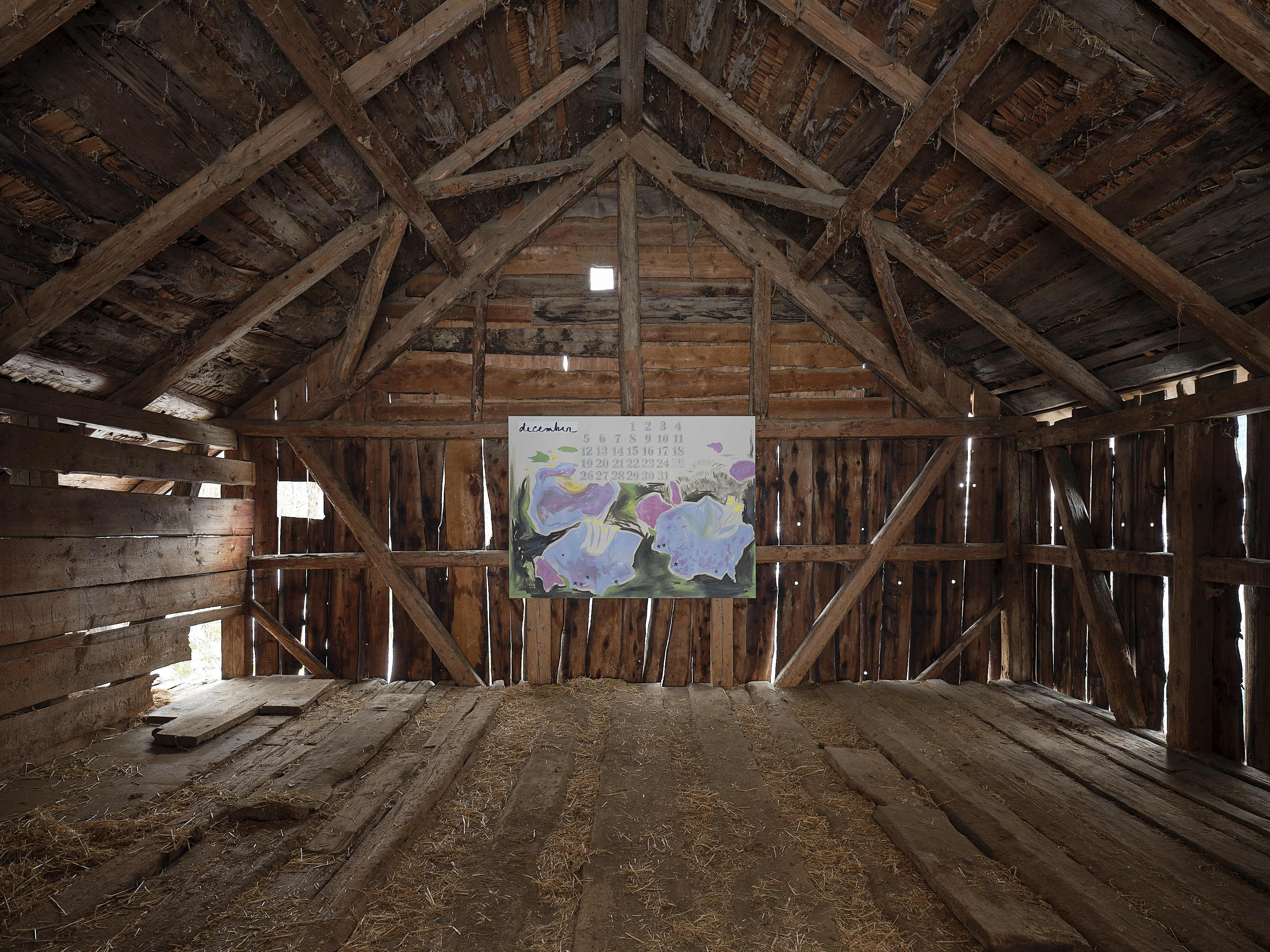 Elise Corpataux – DAISY BY CHOICE, 2021 – Foto: David Aebi