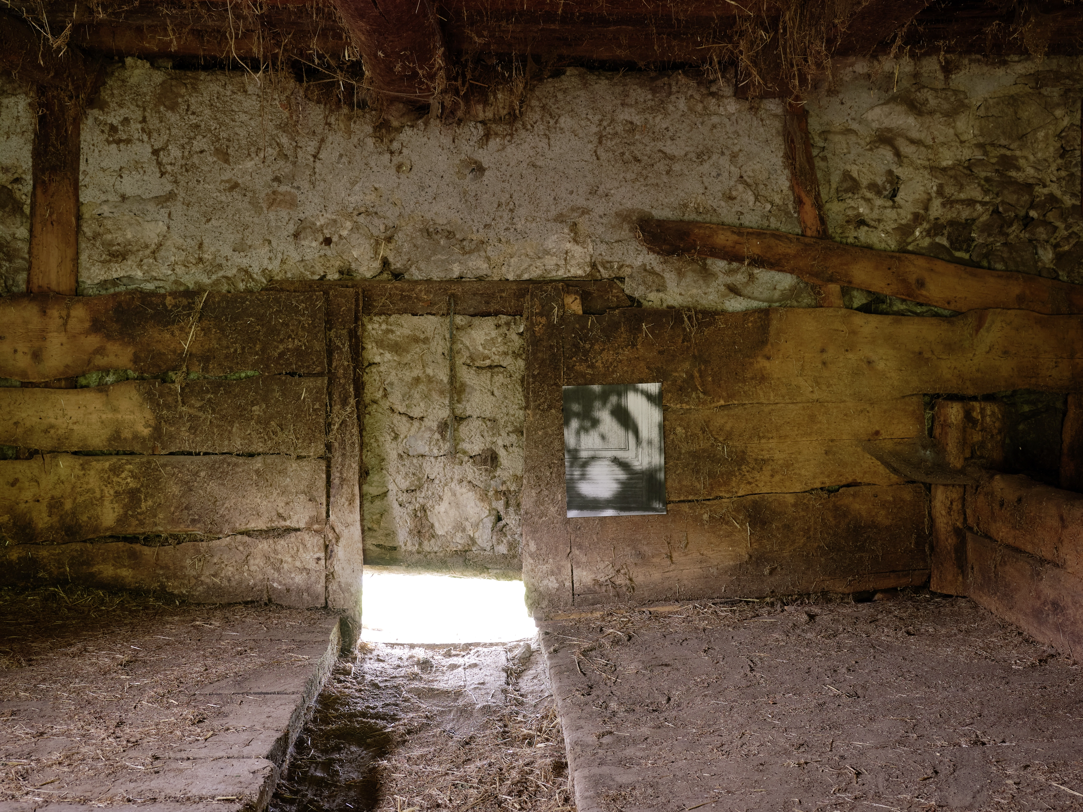 Jochen Lempert – Jochen Lempert – Photographien, 2020 – Foto: David Aebi