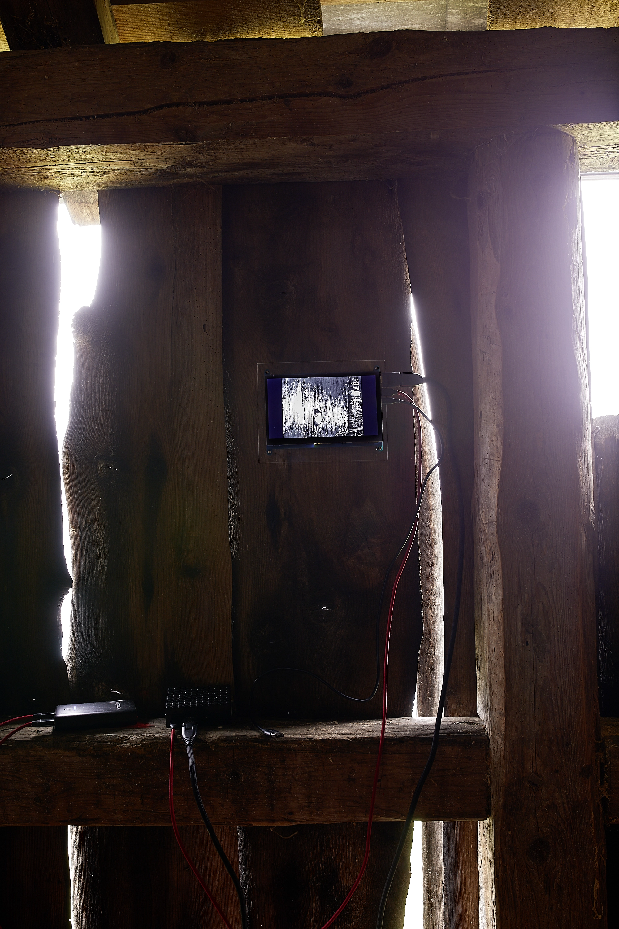 Elizabeth Wright – Involuntary Works, 2018 – Foto: David Aebi