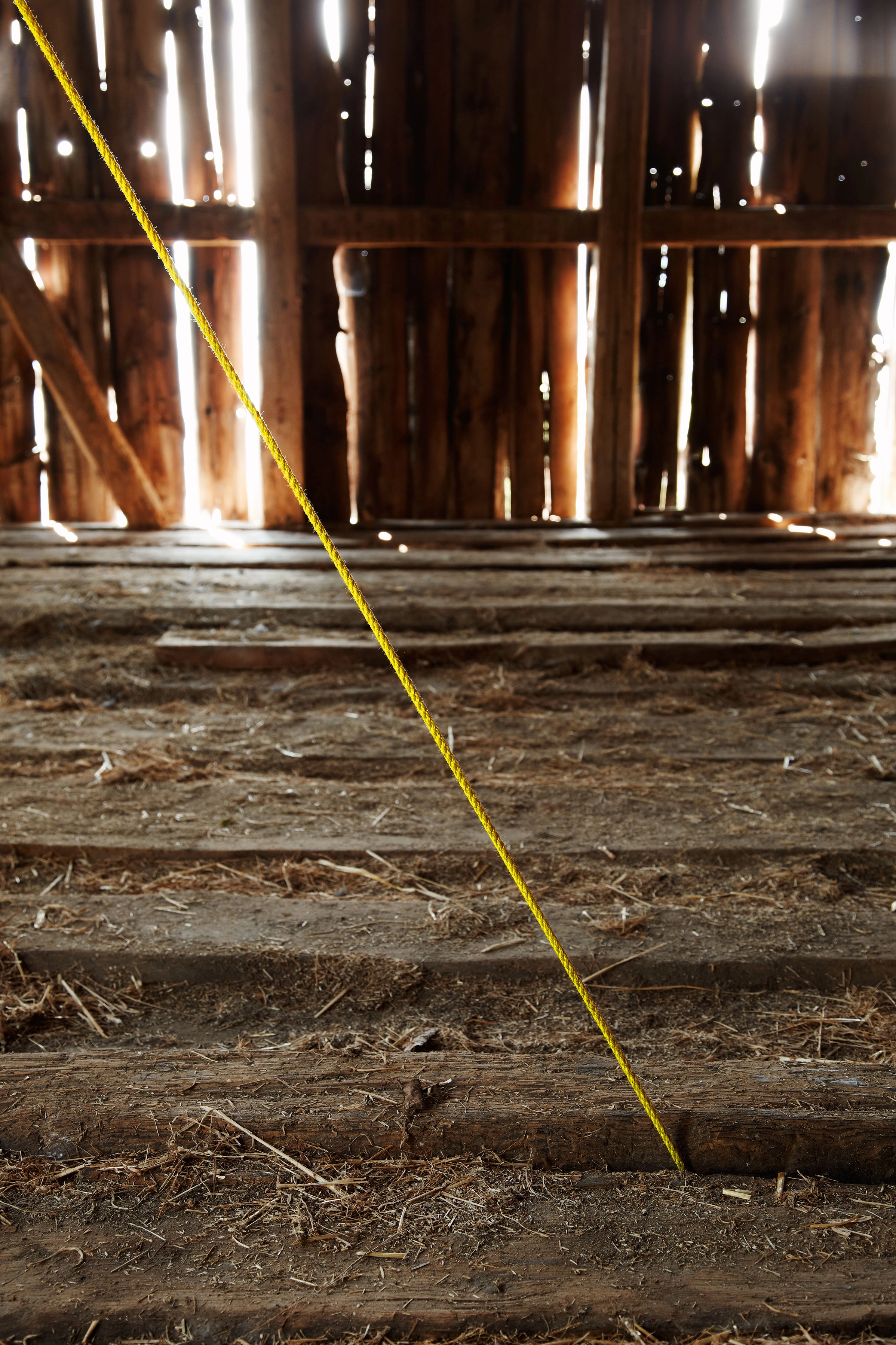 Brian O'Doherty – Taking a Line for a Walk, 2012 – Photo: David Aebi