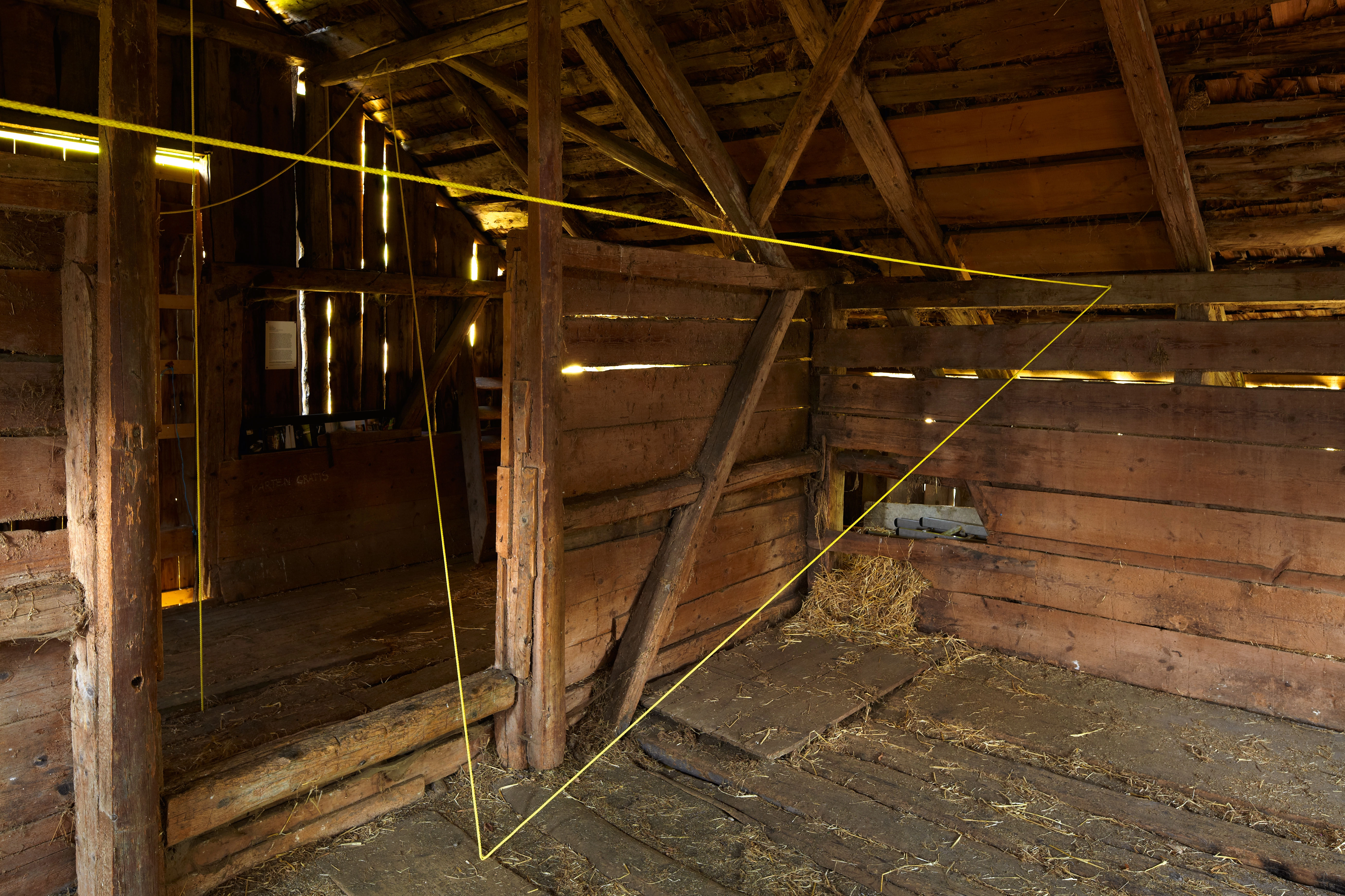 Brian O'Doherty – Taking a Line for a Walk, 2012 – Photo: David Aebi