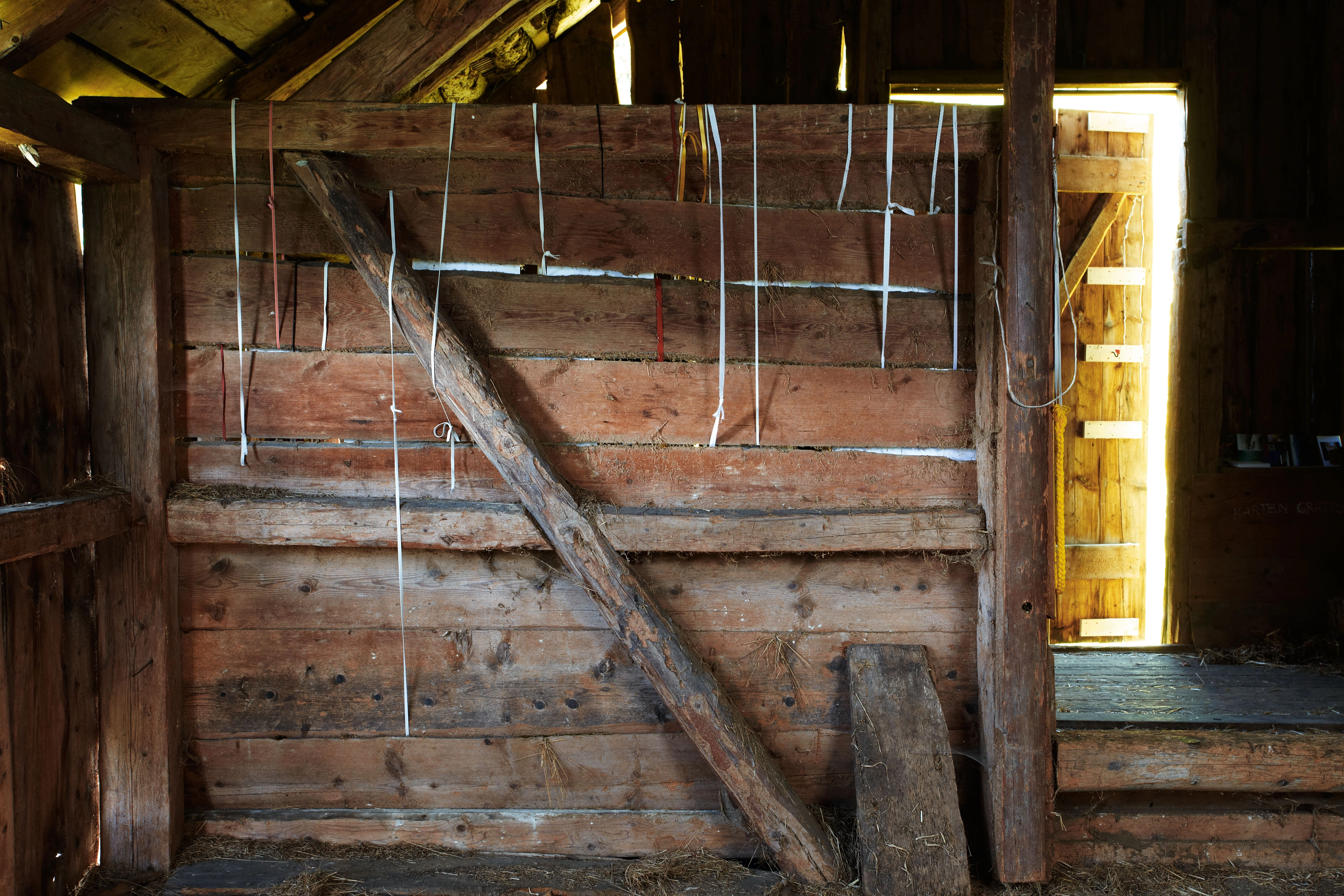 Eran Schaerf – Wanderblog, 2009 – Foto: David Aebi