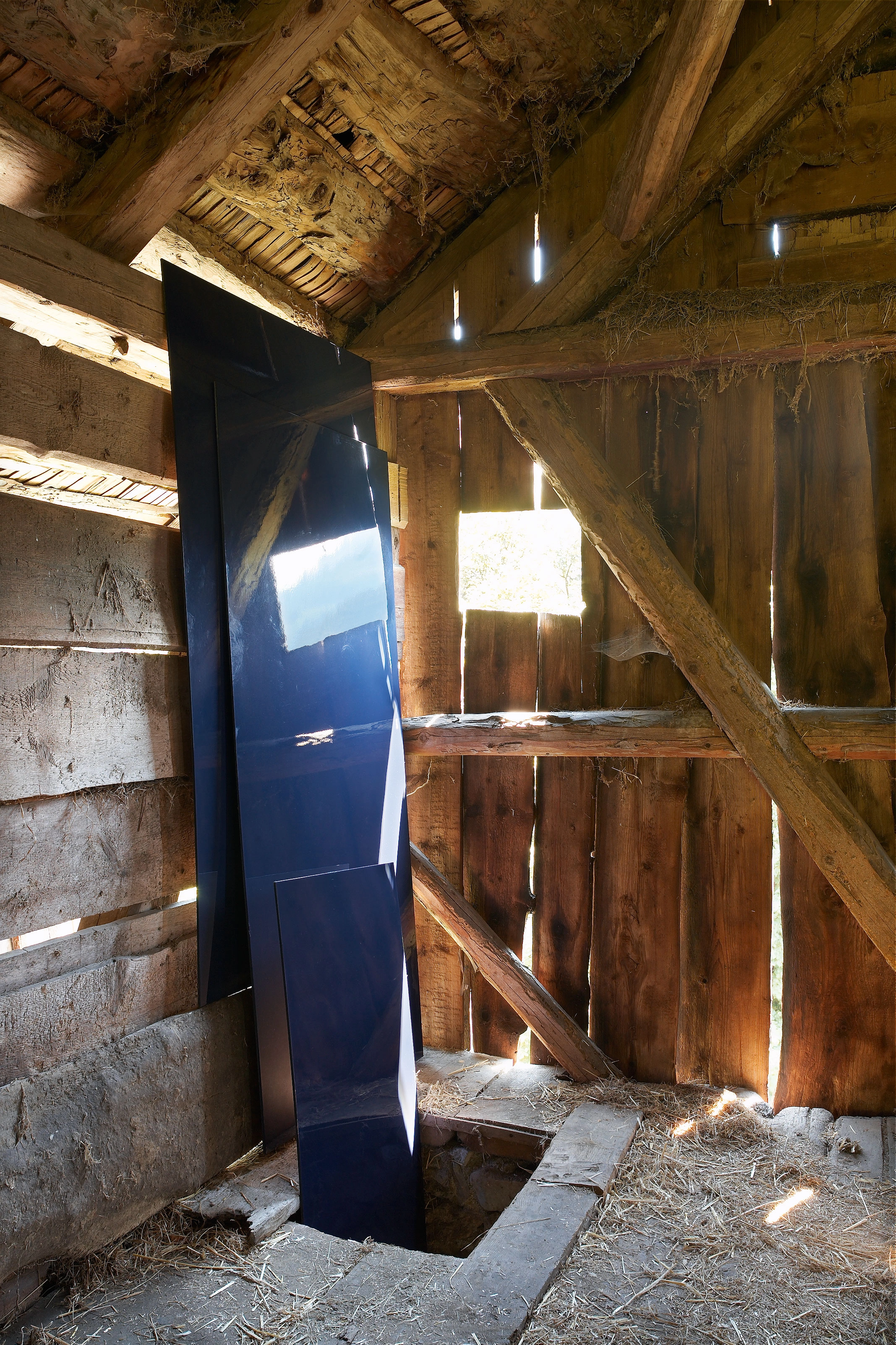 Karin Hueber – Die mondänen Besucher I und II, 2008 – Foto: David Aebi