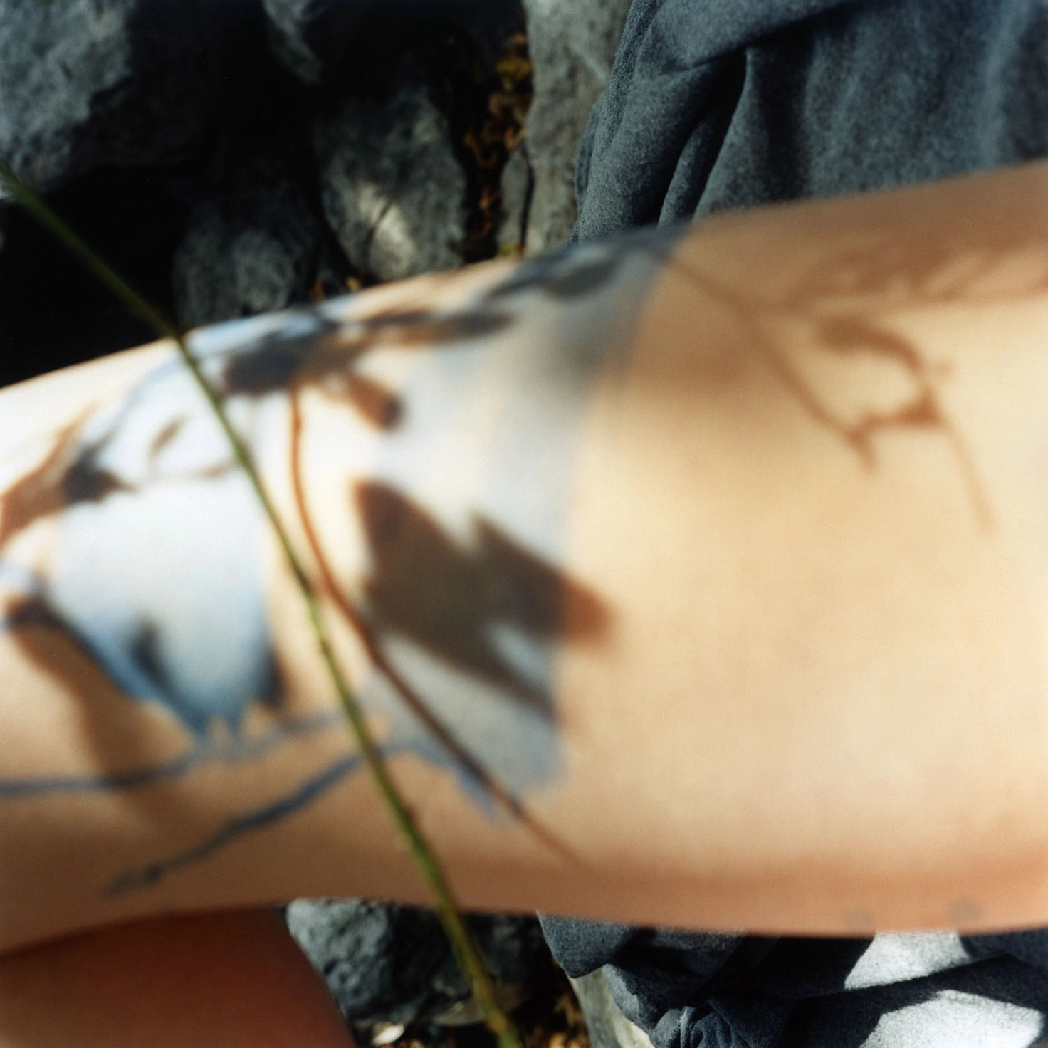 Sarah Rossiter – Amden (Lake, No. 2), 2003 – Foto: Sarah Rossiter