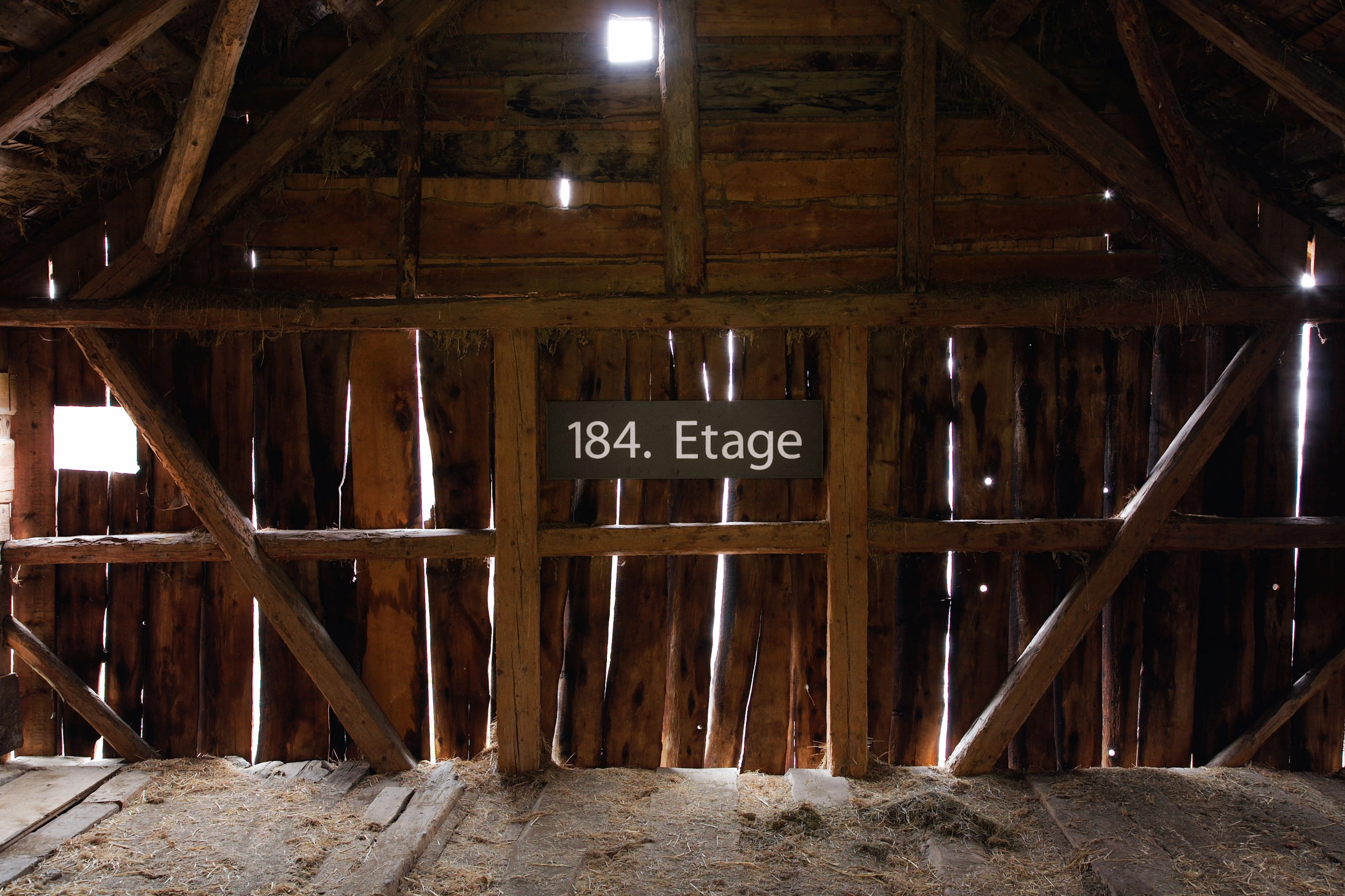 Elizabeth Wright – Hochhaus, 2003 – Foto: David Aebi