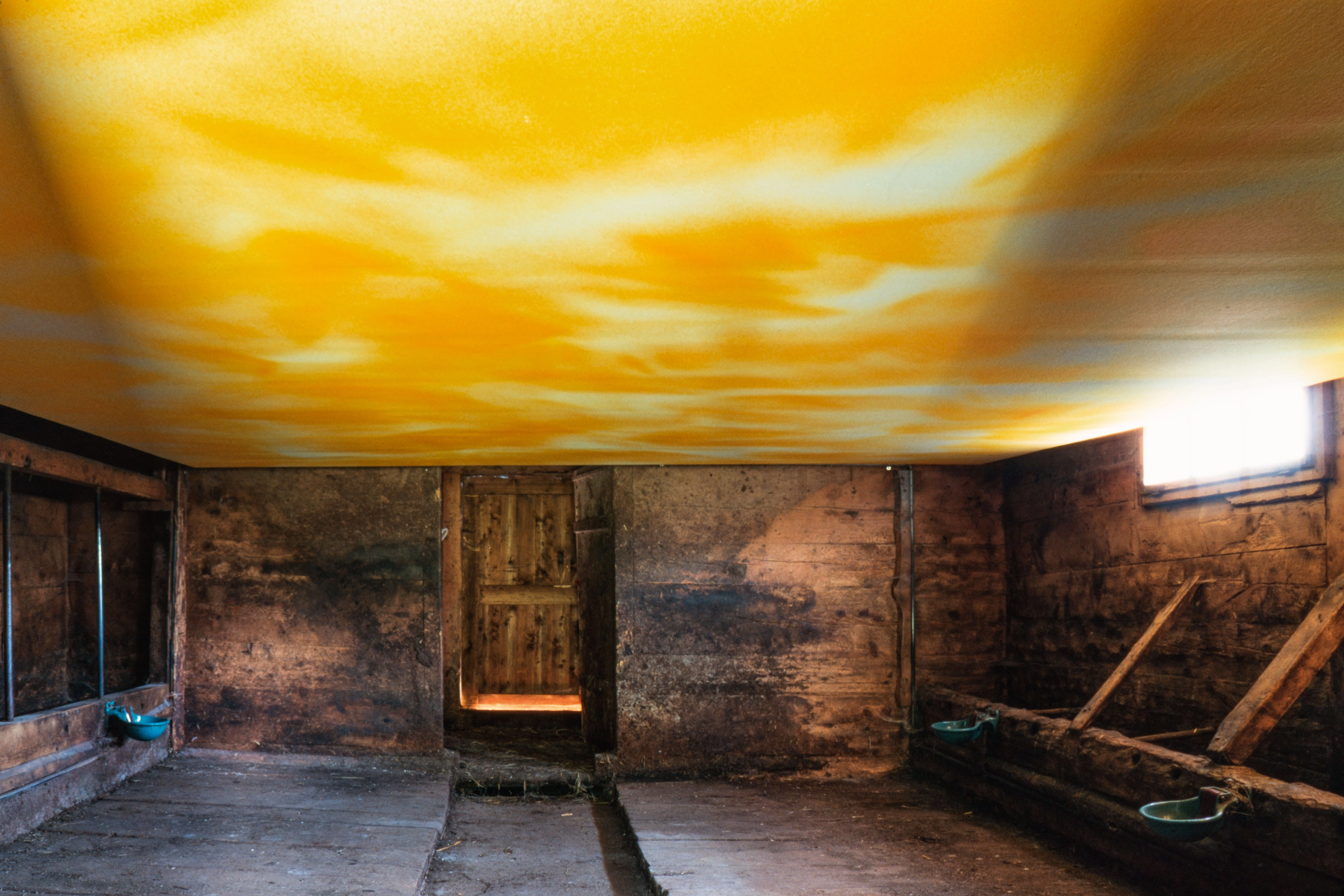 Katharina Grosse – Katharina Grosse, 1999 – Foto: Michael Fontana