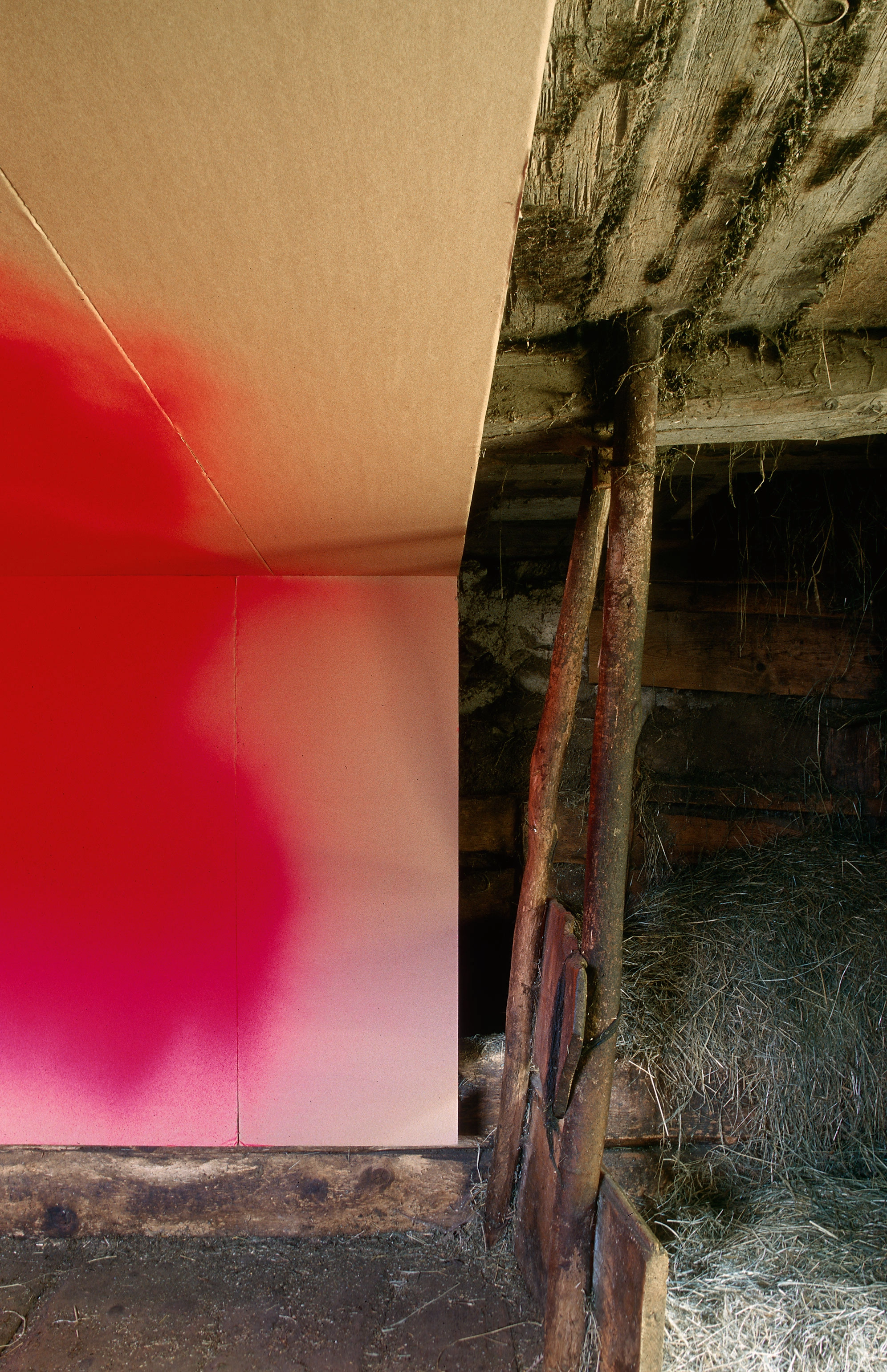 Katharina Grosse – Katharina Grosse, 1999 – Foto: Michael Fontana