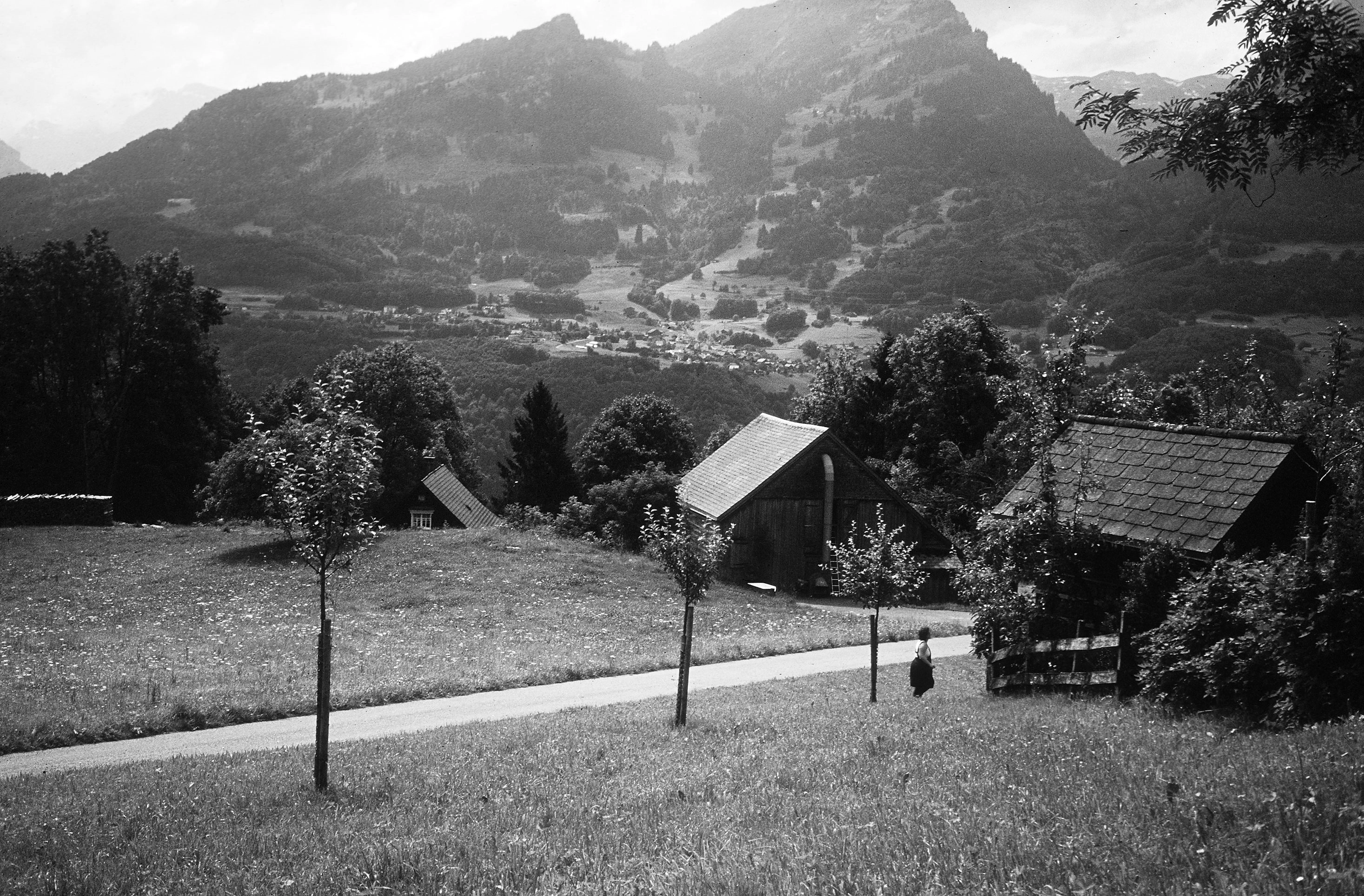 Anya Gallaccio – Have, 2001 – Foto: Michael Fontana