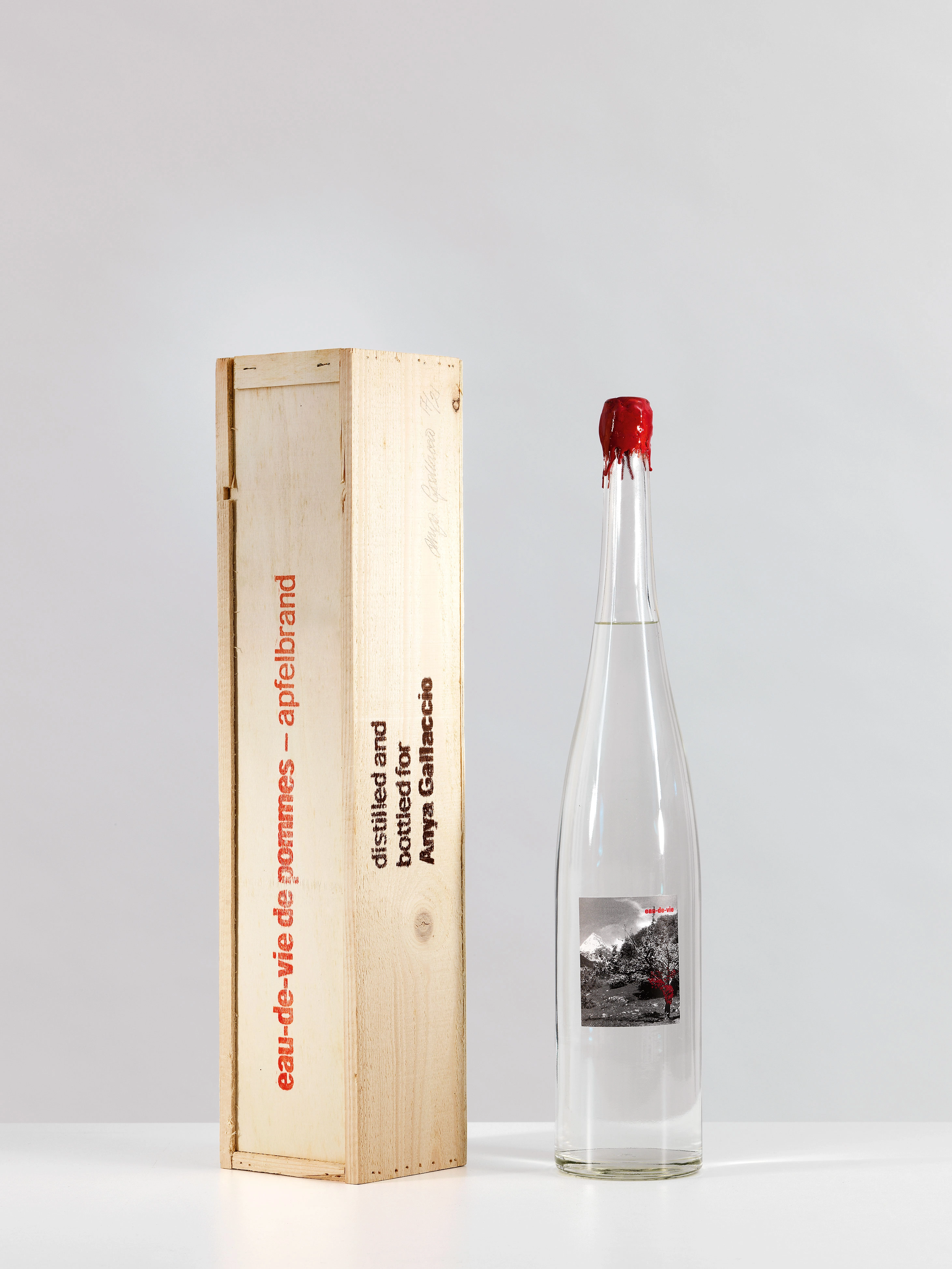 Anya Gallaccio – Have, 2001 – Foto: Michael Fontana