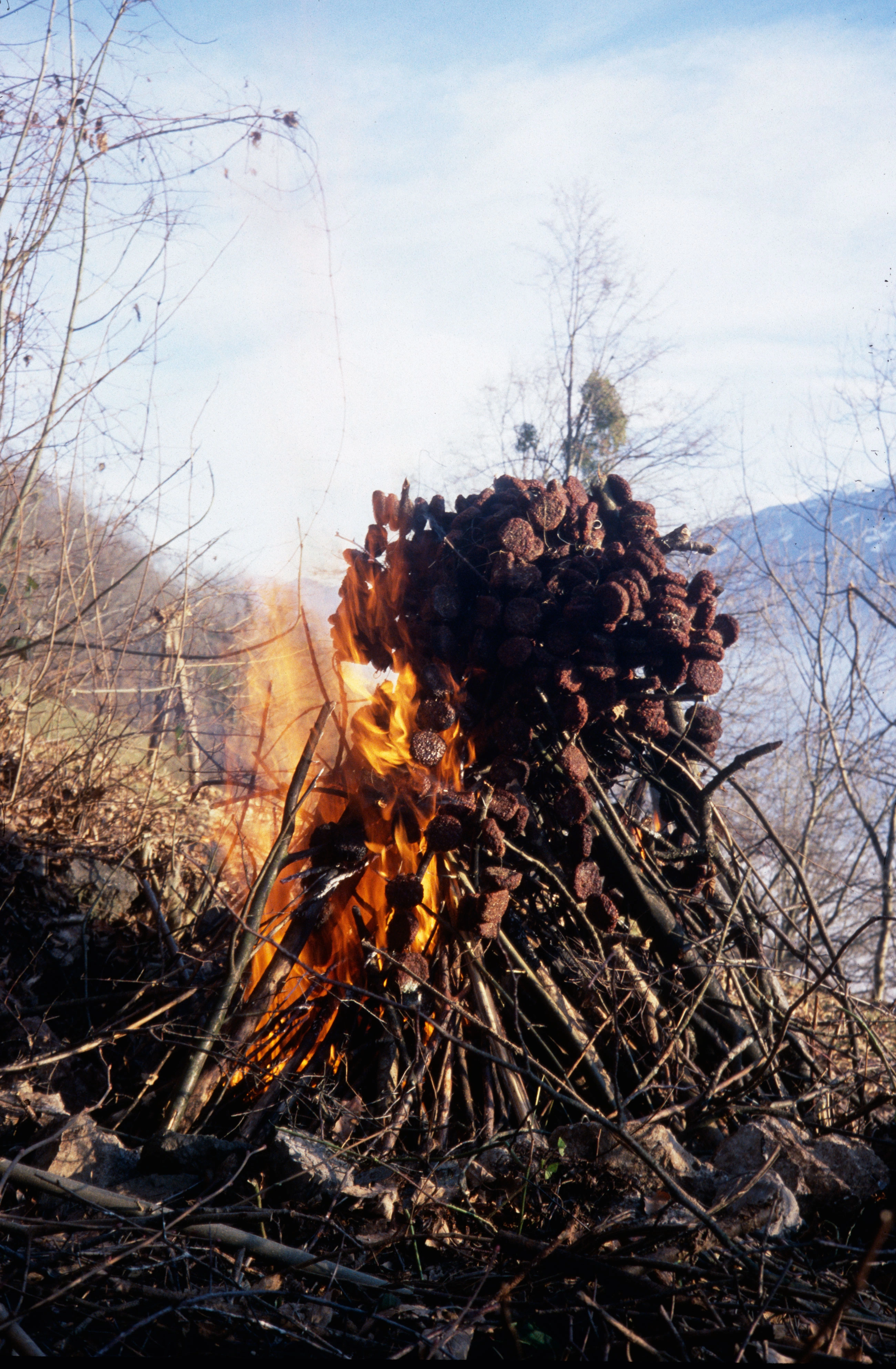 Erik Steinbrecher – Schluss mit Öko, 2007 – Foto: Roman Kurzmeyer