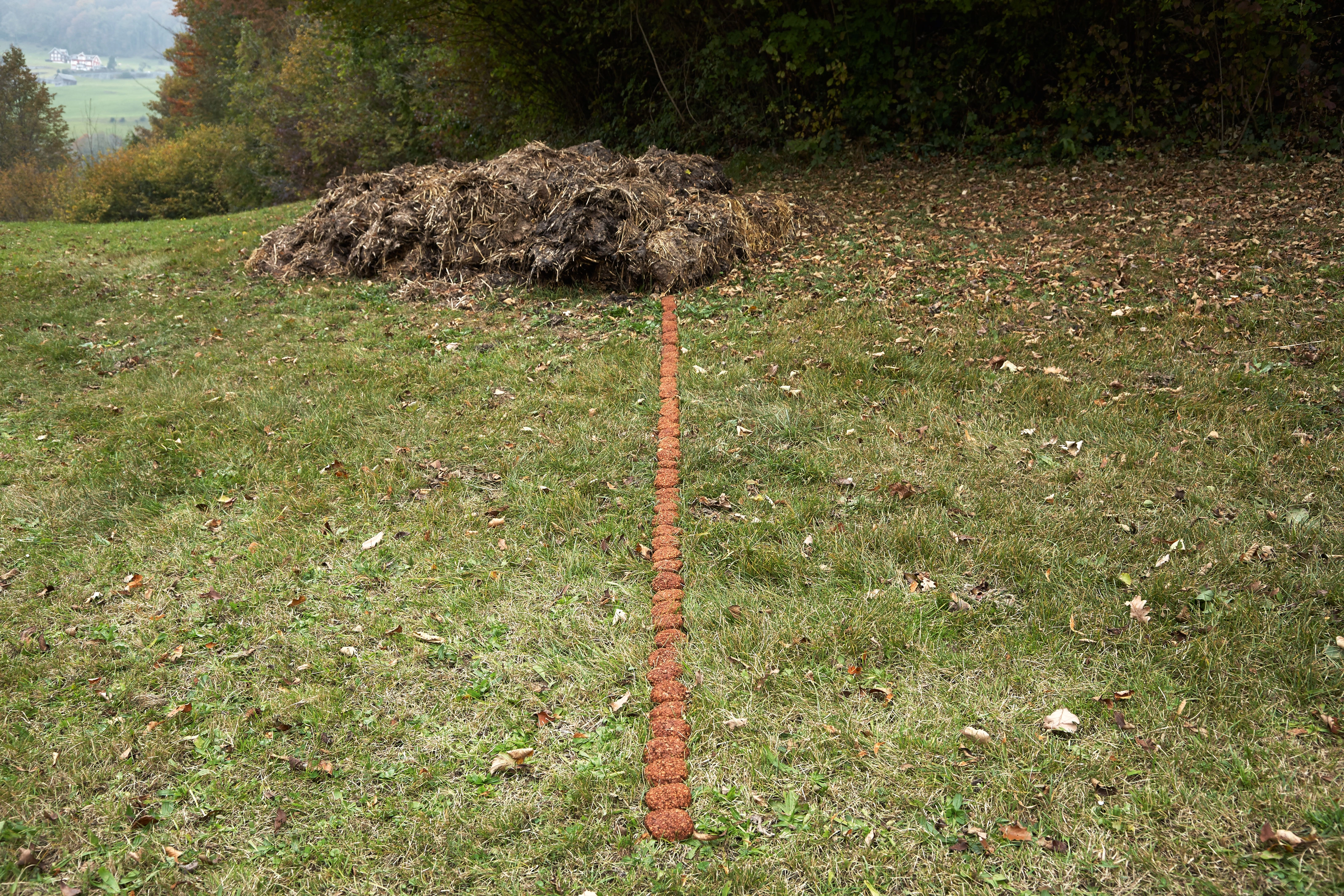Erik Steinbrecher – Schluss mit Öko, 2007 – Foto: David Aebi
