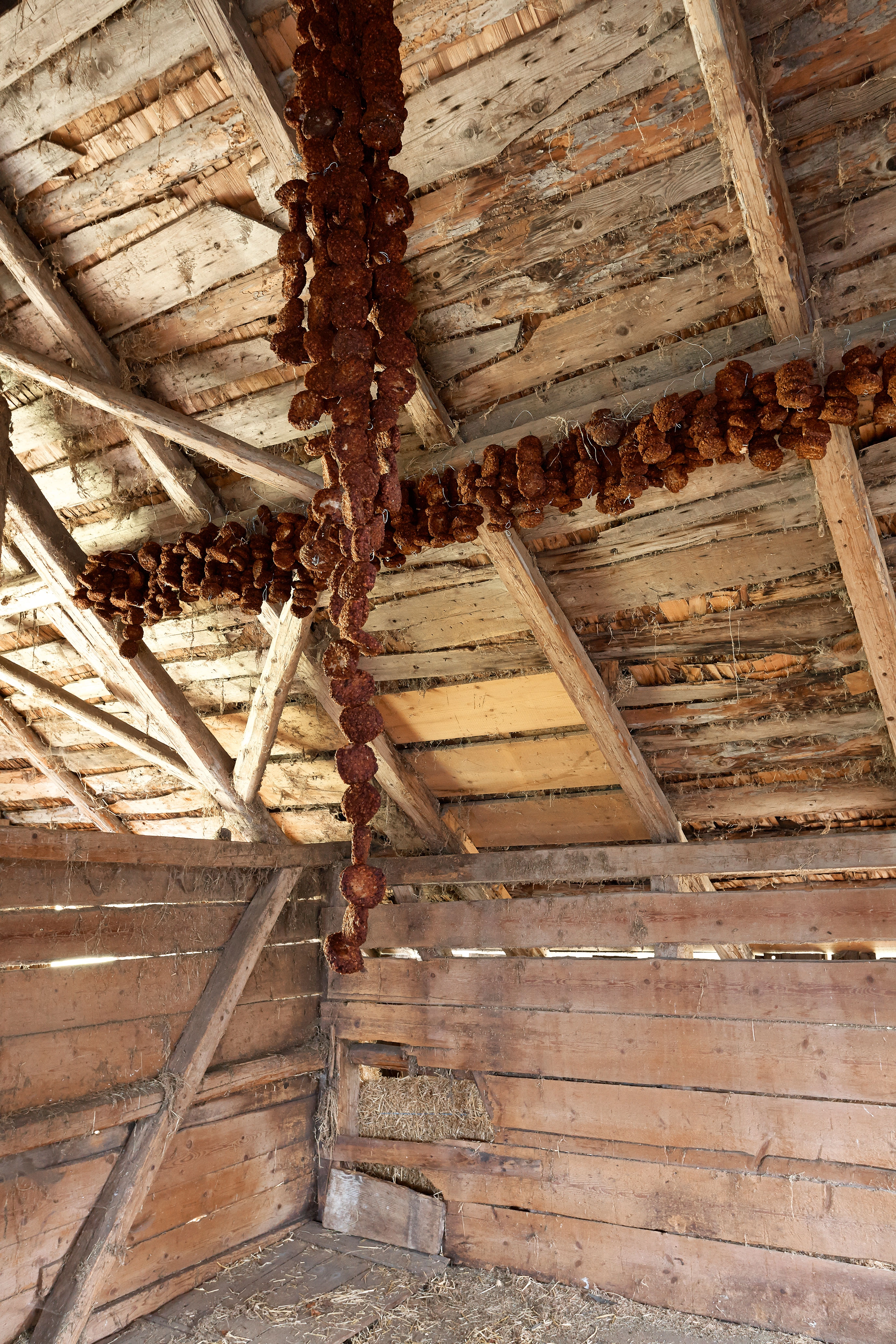 Erik Steinbrecher – Schluss mit Öko, 2007 – Foto: David Aebi