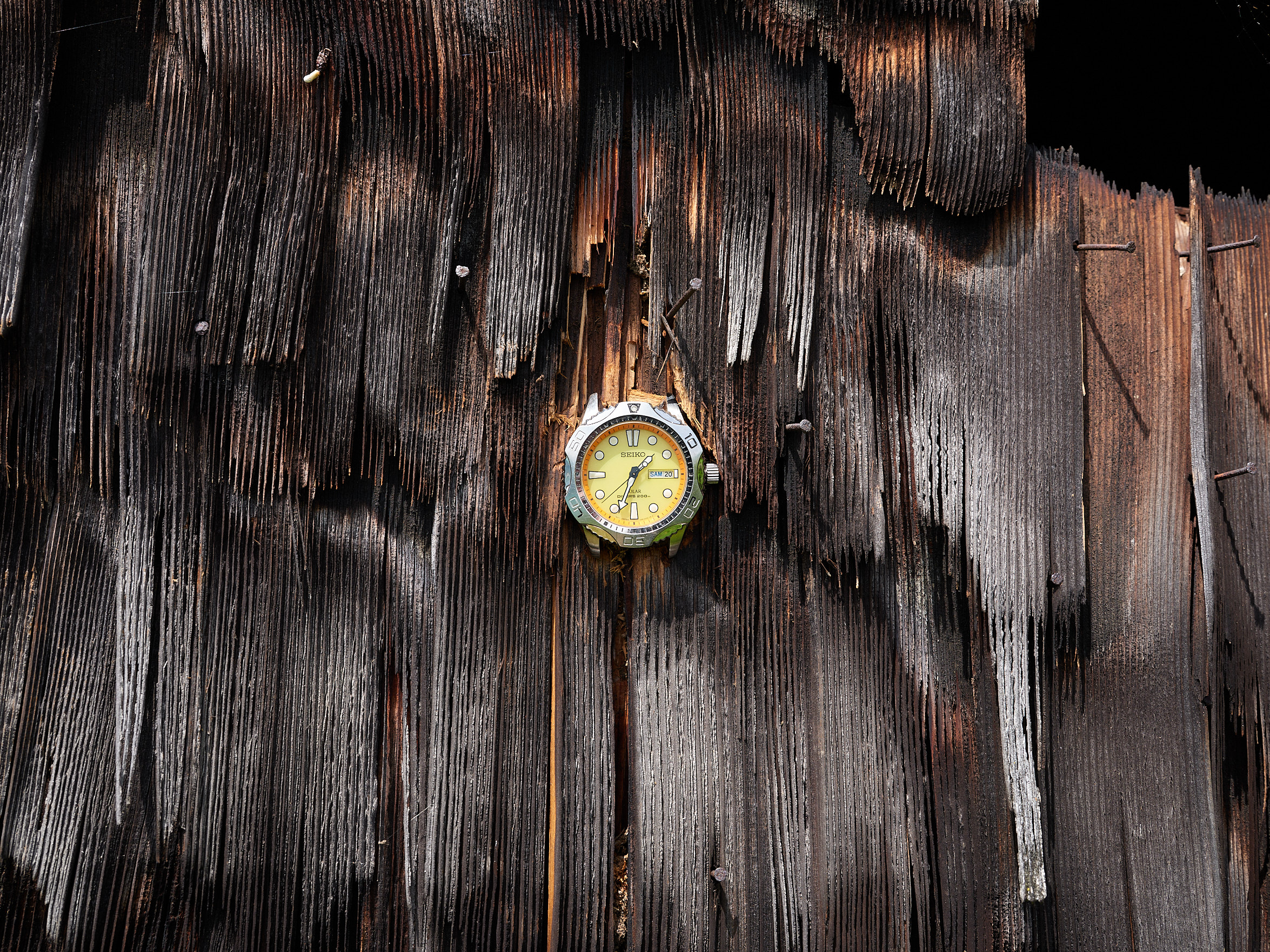 Kaspar Müller – Liquid Artist, 2023 – Photo: David Aebi