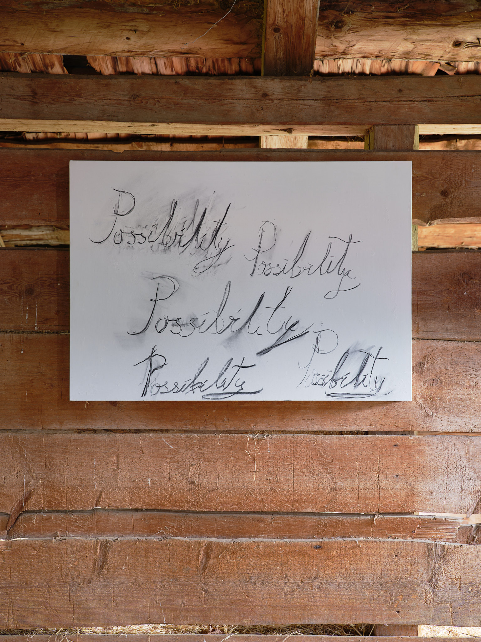 Anastasia Pavlou – Notes and Counter Notes on the Light that Burns, 2025 – Foto: David Aebi